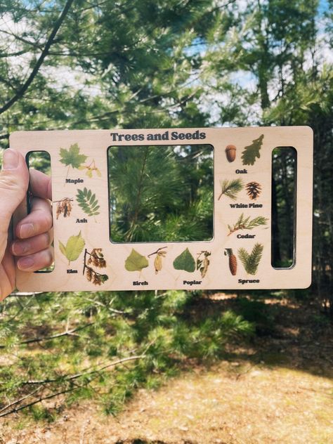 Nature Window Nature Hunt Nature Identifier Nature Guide - Etsy Animal Presentation Ideas, Nature School Aesthetic, Nature Hunt For Kids, Forest School Ideas, Dress Gender Reveal, Diy Christmas Card Ideas, Nature Guide, Gender Reveal Dress, Nature Hunt