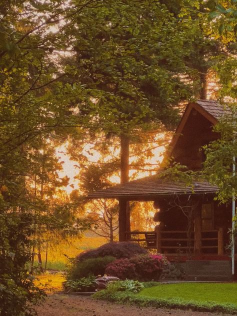 #cabin #summer #airbnb #travel Cabin In The Woods Aesthetic, Cabin Summer, Summer Camp Aesthetic, Wilderness Cabins, Cabin Core, A Cabin In The Woods, Cozy Summer, Old Cabin, Cabin Aesthetic