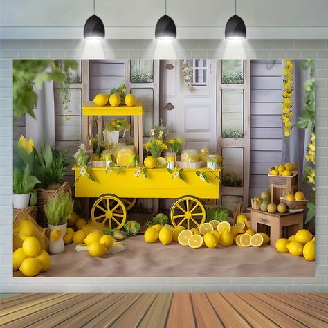 Faster shipping. Better service Photo Shoot Backdrop, Shoot Backdrop, Ranch Photography, Theme Photography, Lemon Theme, Ideas For Photography, Window Photography, Baby Boy Newborn Photography, Studio Backdrops Backgrounds