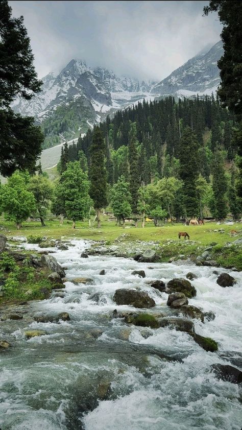 River Wallpaper Nature, River Aesthetic Wallpaper, Kashmir Wallpaper, Kashmir Mountains, Kashmir Nature, Kashmir Aesthetic, Mountains In India, River Aesthetic, Snow Valley