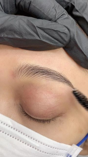 Machine Hairstroke Brows, Hairstroke Eyebrows, Eyebrow Fails, Pmu Brows, Plucking Eyebrows, Dream Studio, Eye Brow, Cute Animal Drawings Kawaii, Microblading Eyebrows