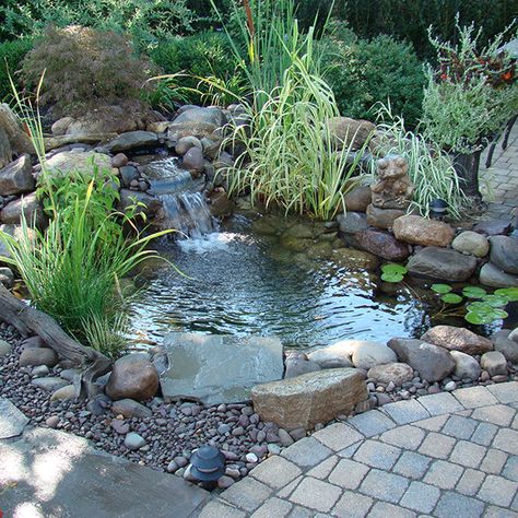 Garden Bed Water Feature, Small Pond Landscaping, Rockery Waterfall Ideas, Small Front Yard Pond Water Garden, Front Yard Water Feature, Pond Rockery, Rill Water Feature Small Garden, Rock Water Feature, Water Feature Design