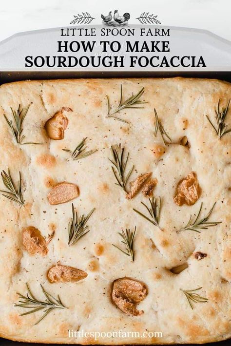 Sourdough Focaccia Bread Recipe, Little Spoon Farm, Discard Crackers, Sourdough Focaccia Recipe, Foccacia Recipe, Sourdough Focaccia, Foccacia Bread, Sourdough Pizza Crust, Sourdough Bread Starter