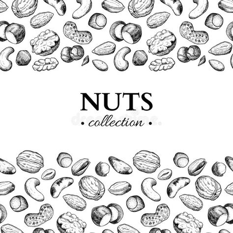 Nuts vector vintage frame illustration. Hand drawn engraved food objects. royalty free illustration Vintage Frame Illustration, Nuts Vector, Organic Branding, Frame Illustration, Portfolio Design Layout, Male Torso, Photographer Portfolio, Vintage Frame, Card Business