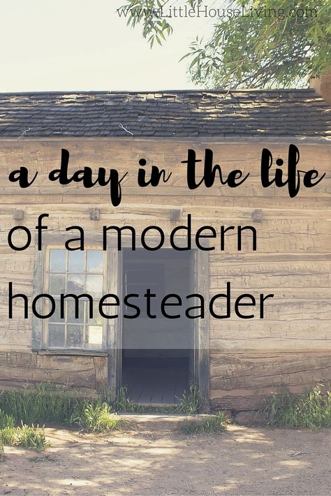 Follow along in the day of the life of a modern homesteader.... Modern Homesteading, Homesteading Skills, Growing Veggies, Homestead Living, Rv Living Full Time, Mini Farm, Full Time Rv, Chicken House, Grow Your Own Food