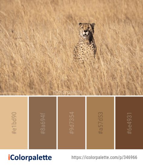 Safari Wedding Color Palette, Savannah Color Palette, Safari Colour Palette, African Color Palette, Safari Color Palette, Safari Colors, Color Palette Theme, Out Of Africa Style, Giraffe Images