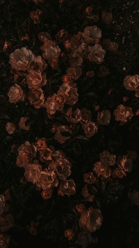 Ipad Inspo, Dark Academia Wallpaper, Stoic Philosophy, Flower Background Images, Motivation Psychology, Arte Steampunk, Seni Vintage, Cocoppa Wallpaper, Vintage Flowers Wallpaper