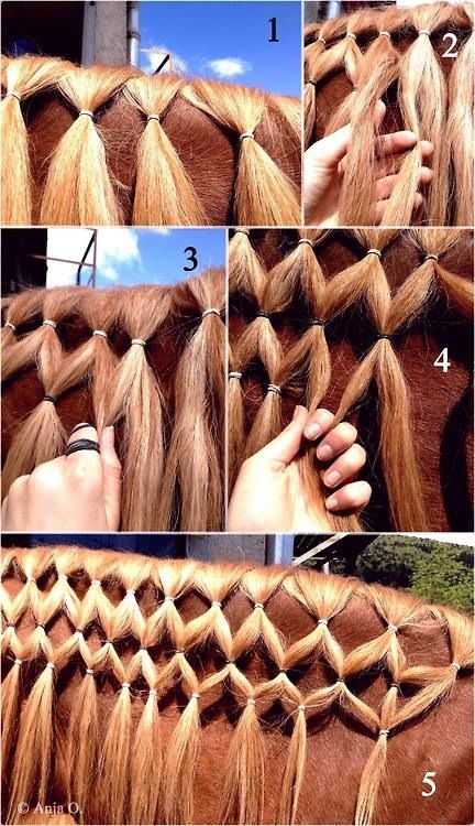 My favorite type of braid, the Diamond braid. Mane Braiding, Horse Mane Braids, Horse Hair Braiding, Horse Braiding, Rasy Koni, Horse Riding Tips, Horse Mane, Horse Costumes, Horse Tail