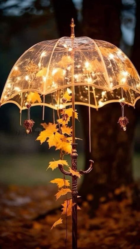 Fairy Light Photography, Cozy Rainy Day, Umbrella Decorations, Rain Wallpapers, Halloween Facts, Umbrella Lights, Autumn Rain, Autumn Magic, Autumn Lights