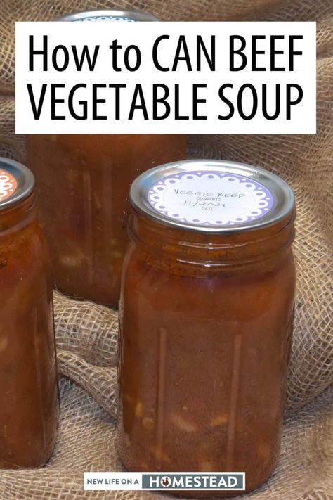 Canning Vegetable Beef Soup, Veg Beef Soup, Canning Soup Recipes, Homemade Vegetable Beef Soup, Beef Vegetable Soup, Hamburger Vegetable Soup, Pressure Canning Recipes, Canning Process, Quinoa Soup