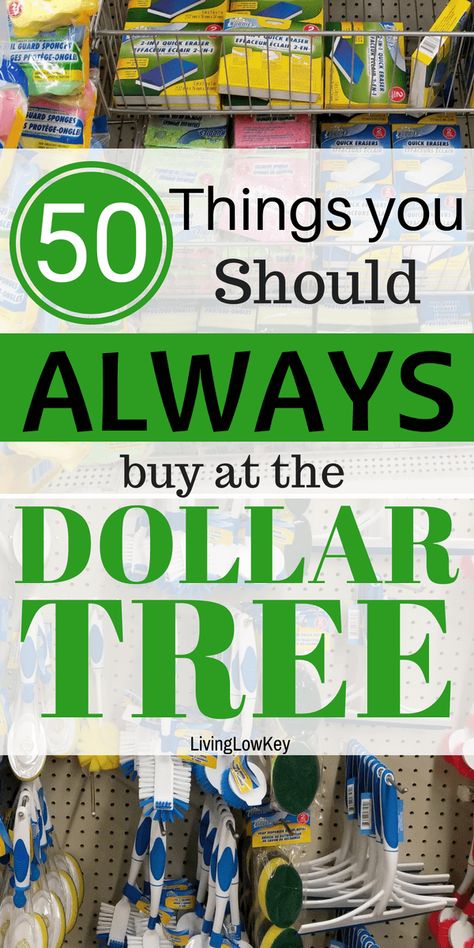 Dollar Tree Organization, Dollar Tree Hacks, Printable Scripture, Store Hacks, Dollar Store Hacks, Dollar Tree Finds, Best Money Saving Tips, Dollar Tree Store, Frugal Living Tips