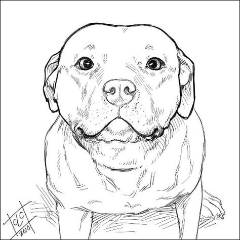 Pitbull Drawing, Pitbull Tattoo, Pitbull Art, Dog Line Art, Výtvarné Reference, Dog Line, Dog Sketch, Animale Rare, Arte Inspo