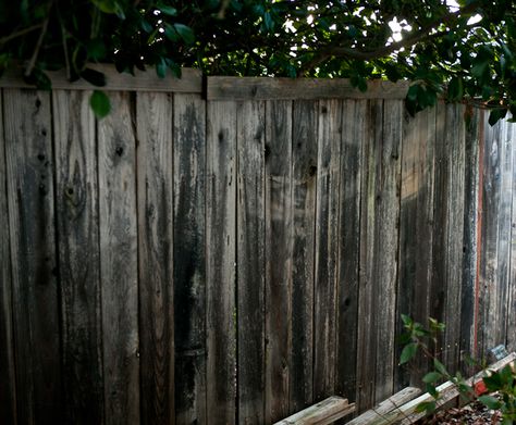 Bamboo Fence Design, Fence Panels Ideas Decor, Fence Concrete, Fence Panels Ideas, Old Fence Boards, Fence Design Ideas, Living Fence, Concrete Fence, Lattice Fence