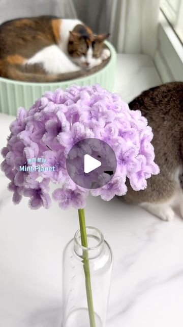 Hydrangea Pipe Cleaner, Pipe Cleaner Hydrangea, Flower From Pipe Cleaner, Flower Pipe Cleaner Tutorial, Making Flowers With Pipe Cleaners, Craft Ideas With Pipe Cleaners, Flower Pipe Cleaner Bouquet, Flowers Made From Pipe Cleaners, Pipecleaners Flowers Tutorial