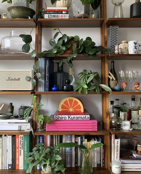 Plants In Bookshelves, Bookshelf Plants, Leather Sofa Living, Black Bookshelf, Styling Bookshelves, Beautiful Bookshelf, Organized Living, Apartment Life, Bookshelf Decor