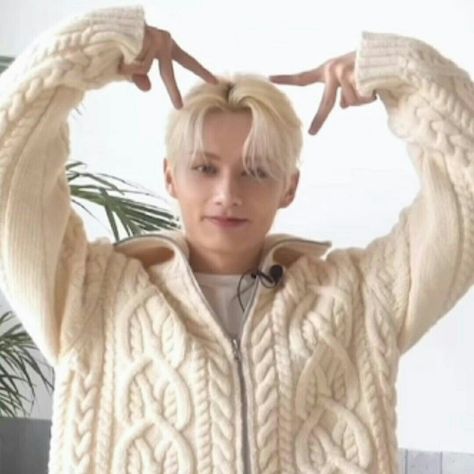 Jun White Aesthetic, Jun Seventeen Cat, Seventeen Cute Icons, Jun Icon, Moon Junhui, Seventeen Junhui, Wen Junhui, Adore U, Seventeen Jun