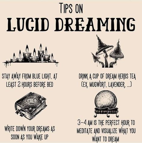 Dream Journal Witchcraft, Lucid Dream Journal, Dream Work Witchcraft, Herbs For Astral Projection, Lucid Dreaming Tips, Crystal Witchcraft, Dream Herbs, Holistic Coach, Dream Spell