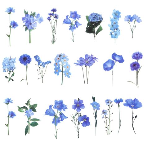 PRICES MAY VARY. Flower Scrapbook Stickers: It's a blue themed flower scrapbook stickes set. You will find different flower shape scrapbooking stickers, like morning glory flower, hydrangeas and campanula flower pattern scrapbook stickers. Easy to Use: You will find these small pieces of flower scrapbook stickers easy to use. Just peel off the back paper, and choose somewhere to decorate. You can use these flower stickers on your daily journaling notebook or travel scrapbook etc. Flower Scrapboo Blue Design For Scrapbook, Scrapbook Blue Theme, Flowers Stickers Printable, Small Flower Stickers, Digital Scrapbook Stickers, To Do List Stickers, Campanula Flower, Sticker Themes, Campanula Flowers