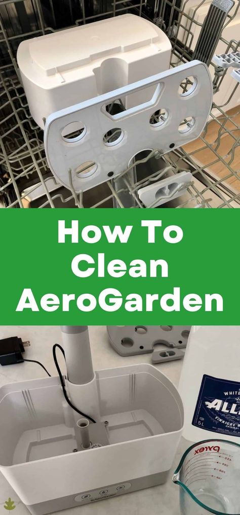 Aerogarden Hack, Aerogarden Ideas, Trees For Backyard, Aero Garden, Trees For Small Gardens, Outdoor Garden Bed, Indoor Hydroponic Gardening, Hydro Gardening, Small Trees For Garden