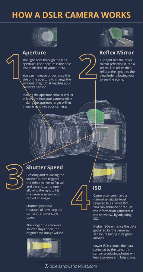 Manual Mode Photography, Beginner Photography Camera, Digital Photography Lessons, Dslr Photography Tips, Photography Settings, Photography Cheat Sheets, Dslr Photography, Going To School, Photography Basics