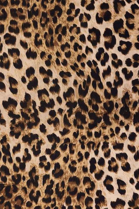 Pattern wallpaper Glamour Leopard Print, Animal Print Background Wallpapers, Leaped Print Wallpaper, Leopard Print Iphone Wallpaper, Lepord Print 2000s Wallpaper, Leopard Aesthetic Wallpaper, Leopard Print Background Aesthetic, Lepord Print 2000s, Iphone Wallpaper Leopard