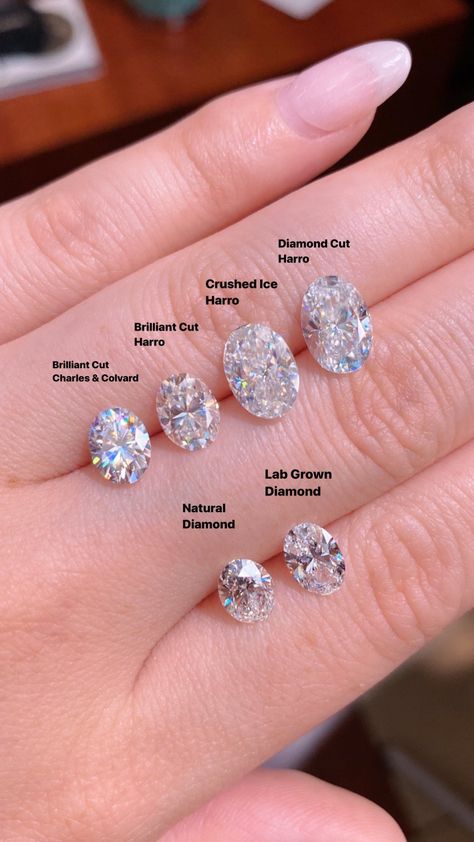 Oval Moissanite Brands versus Lab and Natural Diamonds – Princess Bride Diamonds Tiffany Diamond Ring, Oval Cut Diamond Rings, Moissanite Vs Diamond, Oval Moissanite Ring, Charles And Colvard Moissanite, Future Engagement Rings, Oval Diamond Ring, Jewelry Education, Oval Diamond Engagement Ring