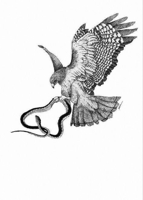 Greek Mythology Eagle Tattoo, Falcon And Snake Tattoo, Eagle Snake Tattoo Design, Swooping Bird Tattoo, Bird Of Prey Tattoo Men, Bird With Snake Tattoo, Bird Snake Tattoo, Eagle Catching Snake Tattoo, Hawk And Snake Tattoo