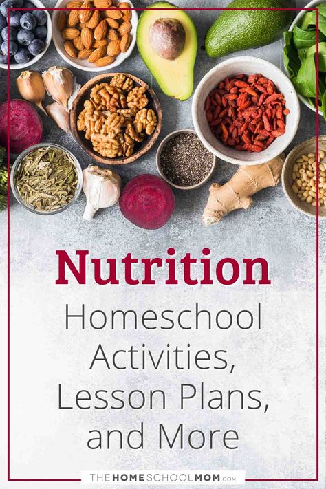 Homeschool Culinary Arts, Homeschool Nutrition Unit, Homeschool Nutrition Curriculum, Homeschool Cooking Curriculum For Kids, Nutrition Unit Study, Nutrition Classes Lesson Plans, Nutrition Lesson Plans Elementary, Homeschool Cooking Lessons, Nutrition Lessons For Kids