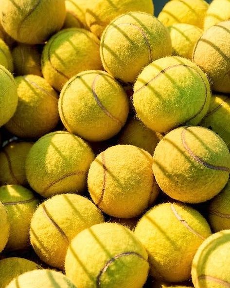 Grab your balls we are going to play Tennis 🎾 #Tennis #DimitriSportswear #tennisball #ByDimitri #sport Match Point, Pe Nation, Play Tennis, Tennis Balls, Tennis Ball, To Play, Tennis, Building, On Instagram