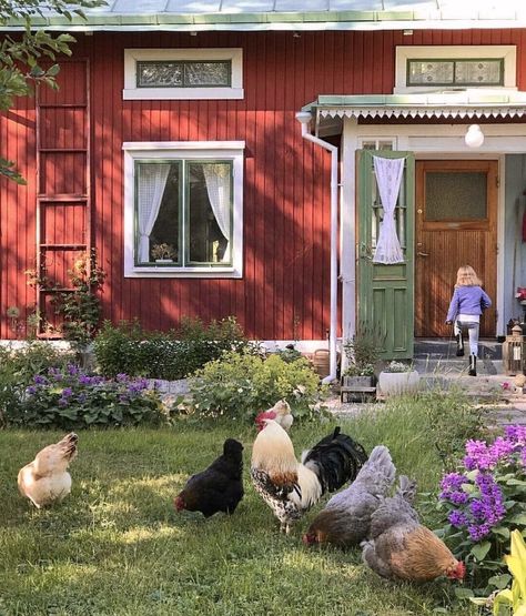 Alrauna Homestead, Sweden Aesthetic, Swedish Cottage, Sweden House, Summer Houses, Scandinavian Aesthetic, Red Cottage, Summer Cottage, Red House