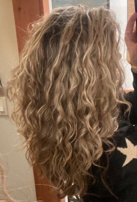 Highlight Wavy Hair, Golden Blonde Curls, Blonde Curly Hair With Highlights, Curly Blonde Hair Highlights, Dark Blonde Hair Curly, Dirty Blonde Hair With Highlights Curly, Natural Curly Blonde Hair, Blonde Highlights Aesthetic, Curly Dirty Blonde Hair