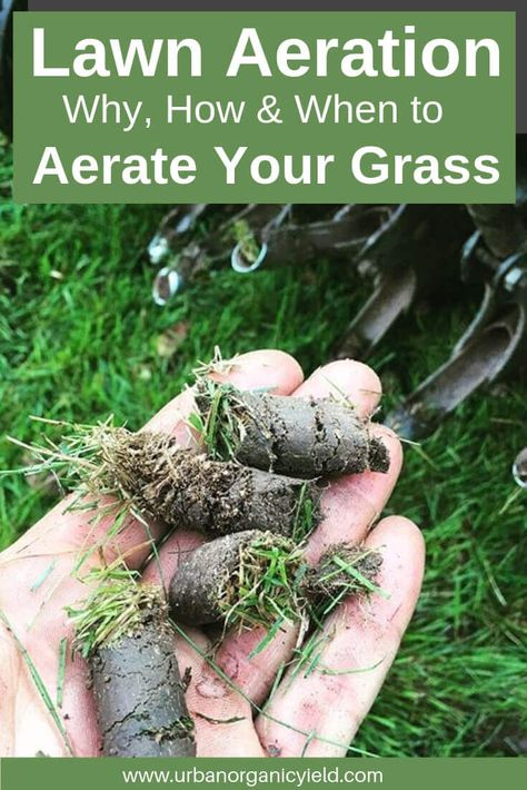 aeration Lawn Care Schedule, Fall Lawn Care, Organic Lawn Care, Fall Lawn, Lawn Care Business, Growing Grass, Diy Lawn, Aerate Lawn, Lawn Care Tips