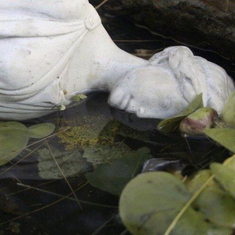 𝑳𝒖𝒏𝒆𝒕𝒕𝒂 on Twitter: "Forgotten by everyone except nature… " Lily, Statue, Water, Plants, White