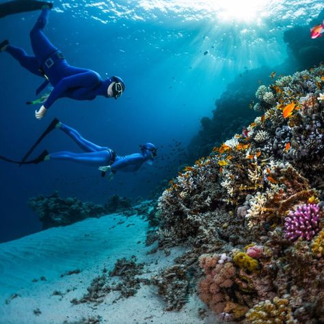 Underwater Ruins, Egypt Tourism, Tourism Design, Places In Egypt, Egypt Aesthetic, Volunteer Travel, Cave Diving, Scuba Diving Gear, Maui Vacation