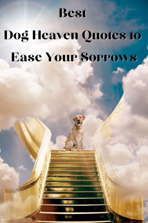 Missing Your Dog Quotes, Puppy Heaven Quotes, Dog Heaven Quotes Miss You, Quotes For A Dog That Passed, Dog Memorial Quotes Miss You, Rip Pet Quotes Dogs, Losing My Dog Quotes, New Puppy After Losing A Dog Quotes, In Memory Of Dog Quotes