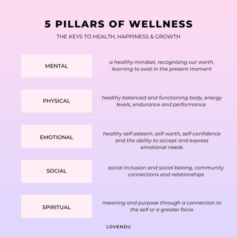 Mentally Physically Emotionally Spiritually, 5 Pillars Of Wellness, Mental Physical And Emotional Health, Physical Mental Emotional Spiritual, Pillars Of Wellness, Pillars Of Health, Financial Literacy Lessons, Health Mindset, 5 Pillars