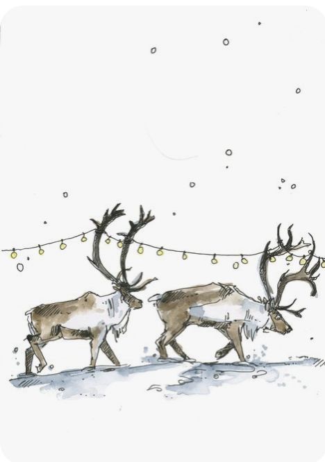 Reindeer Illustration Christmas, Reindeer Christmas Painting, Christmas Card Ideas Reindeer, Deer Christmas Illustration, Christmas Card Ideas Animals, Christmas Card Inspiration Watercolour, Reindeer Drawing Christmas, Christmas Reindeer Drawing, Watercolour Reindeer