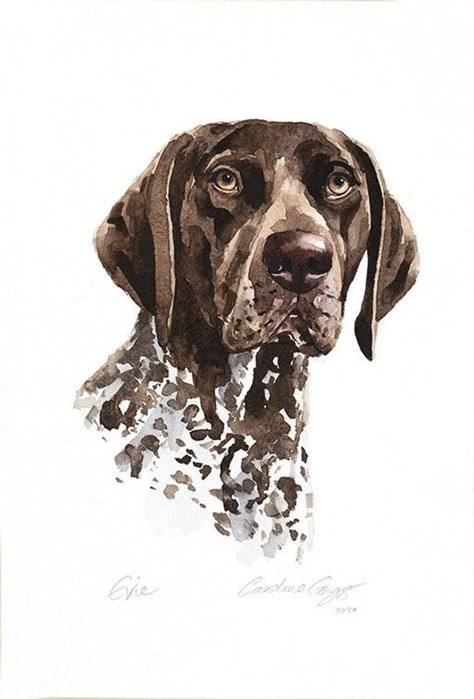 PLEASE CONTACT ME BEFORE YOU PURCHASE TO CHECK FOR AVAILABILITY. Commission an original watercolor portrait of your family pet. This listing is for the following: Single subject Head and shoulder pose White background Paper size 7.5" x 11" ( 0.5 " white border if the composition is either on right or left side of paper. ) The painting is unmatted and unframed and will be signed on the front. Before I get started I will need the following from you: A high quality photo of your pet, natural light German Short Haired Pointer, Short Haired Pointer, Dog Art Print, Pointer Dog, Dog Print Art, David J, German Shorthaired Pointer, Watercolor Dog, Dog Drawing