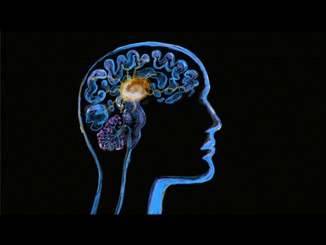 Human Brain Neuron Activity Watercolor 2D Animation by Retro Vectors Limited Neuron Activity, Brain Animation, Brain Gif, Science Animation, Brain Video, Science Gif, Brain Diagram, Brain Neurons, Brain Vector