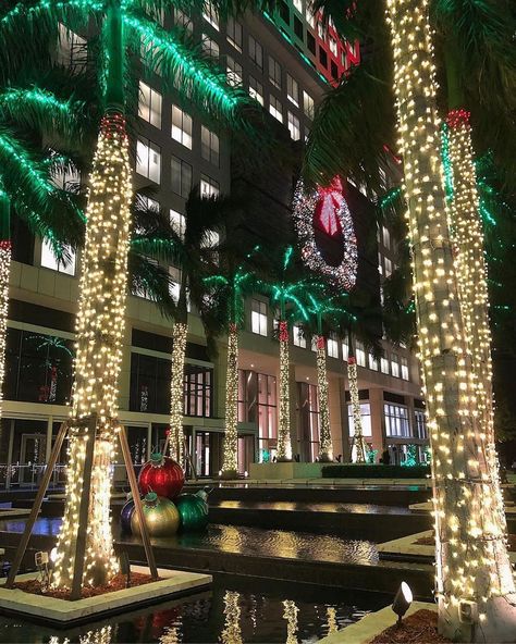 Downtown Miami (DDA) on Instagram: “The palm trees at Brickell World Plaza are always lit this time of year! 🌴 📷 @305mortgagegirl” Miami Christmas, Brickell Miami, Miami Travel, Downtown Miami, Disney Trip, Miami Florida, The Palm, Disney Trips, Christmas Lights