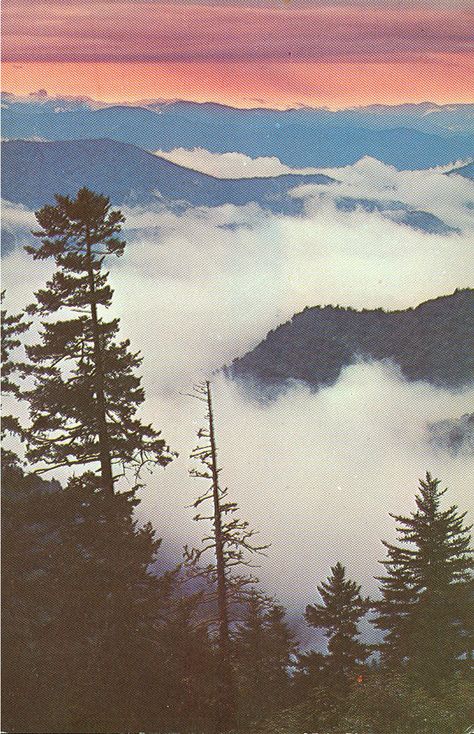 Vintage Travel Postcards: Great Smoky Mountains National Park Smokie Mountains, Mountain Vintage, Vintage Postcards Travel, Travel Postcard, Appalachian Mountains, Nice Place, Great Smoky Mountains National Park, East Tennessee, The Mountains Are Calling