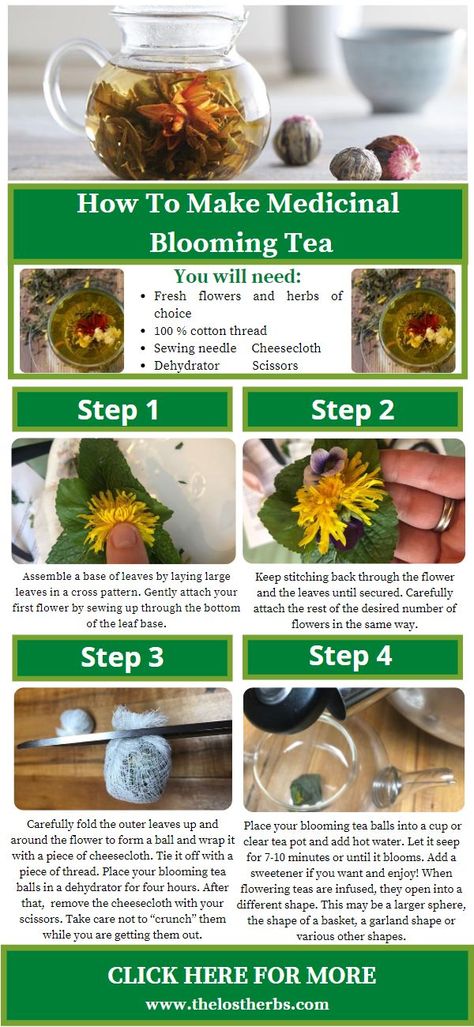 Flowering Tea Blooming, Medicine Recipes, Teas Recipes, Herbal Medicine Recipes, Nature Healing, Natural Antibiotic, Blooming Tea, Holistic Diet, Herbal Teas Recipes