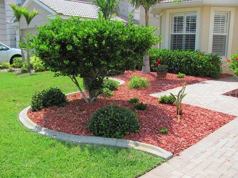 Dress up your walkway for some serious curb appeal! Using Colored Shell Mulch™ with easy-to-care-for plants will keep your walkway looking amazing for all your guests! Red Mulch Landscaping, Mulch Colors, Red Mulch, Front Yard Design Ideas, Yard Design Ideas, Garden Home Ideas, Yard Landscape Ideas, Garden Front Yard, Diy Patio Pavers