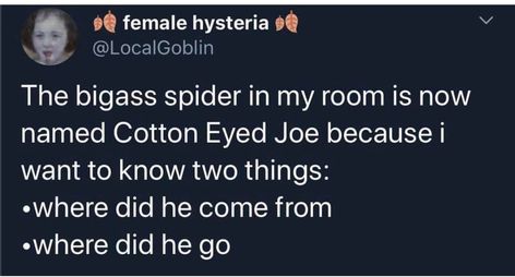 Cotton Eyed Joe, Scott Disick, Lizzie Mcguire, Hysterically Funny, Internet Funny, My Room, What’s Going On, Really Funny Pictures, Really Funny Memes