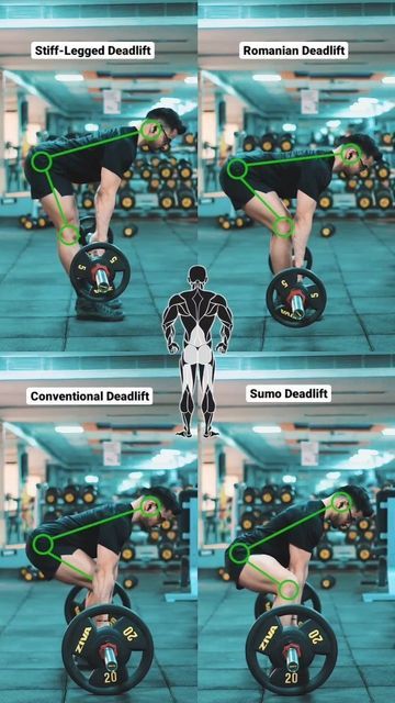 Akhilesh Chandra | Workout Tips. on Instagram: "Different types of deadlifts. This video shows 4 types of deadlifts to train posterior chain muscles. 1️⃣ Stiff leg deadlift (SLDL) - The movement starts from the top via a hip hinge and the knees remain straight. 2️⃣ Romanian deadlift (RDL) - The movement starts from the top via a hip hinge and the knees remain slightly bent but the weight does not touch the ground. 3️⃣ Conventional deadlift (DL) - The lift starts from the bottom when the weig Stiff Legged Deadlift, Deadlift Vs Romanian Deadlift, Dead Lift Form, Dead Lifts Women, Stiff Deadlift, Deadlift Muscles Worked, Deadlift Women, Conventional Deadlift, Dead Lift Workout