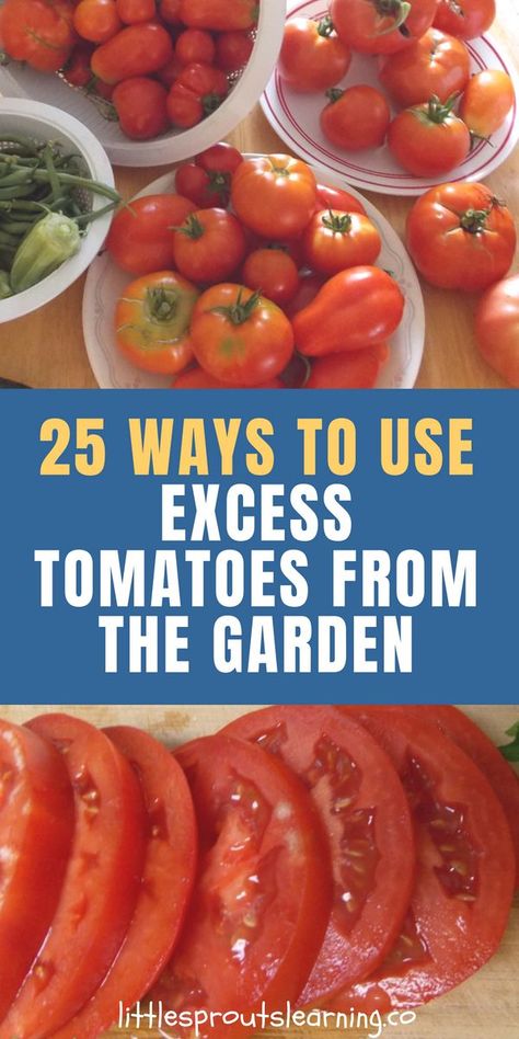 What To Can With Fresh Tomatoes, How To Use Up Fresh Tomatoes, Sauce From Garden Tomatoes, Things You Can Make With Tomatoes, Stuff To Make With Tomatoes, Things To Make Out Of Tomatoes, Tomatoes From Garden Recipes, Ways To Use Garden Tomatoes, Ways To Use Up Tomatoes