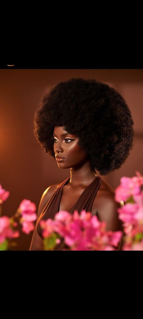 Big Afro, Beautiful Photoshoot Ideas, Creative Photoshoot Ideas, Glam Photoshoot, Afro Wigs, Beauty Photoshoot, Dark Skin Beauty, Beauty Shoot, Beauty Portrait