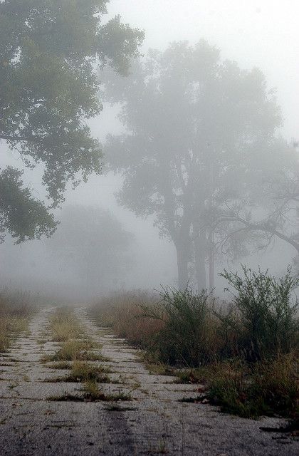 Abandoned road by Blackmon Photography, via Flickr Flower Sketchbook, Abandoned Road, Kiersten White, Beautiful Ruins, Dream Fantasy, Drunk Driving, Road Trip Hacks, Fantasy Places, The Fog