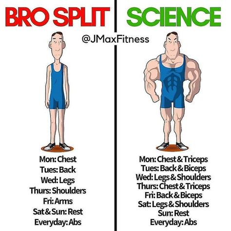 BRO SPLIT vs SCIENCE by @jmaxfitness . . What is the best workout split for you? . I remember when I started training, all I’d used to do… Bro Split, Best Workout Split, Lichaamsgewicht Training, Workout Split, Logo Fitness, Workout Gym Routine, Gym Workout Guide, Transformation Fitness, Gym Antrenmanları