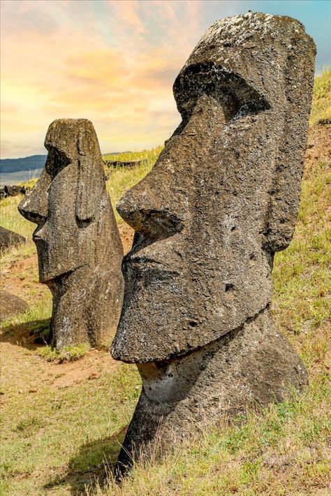 Moai sculptures at Rano Raraku on Easter Island, Chile-Stock Photo Easter Island Statues Drawing, Moai Drawing, Afro Hair Drawing, Weird Old Photos, Easter Island Chile, Easter Island Moai, Easter Island Heads, Easter Island Statues, Tiki Statues